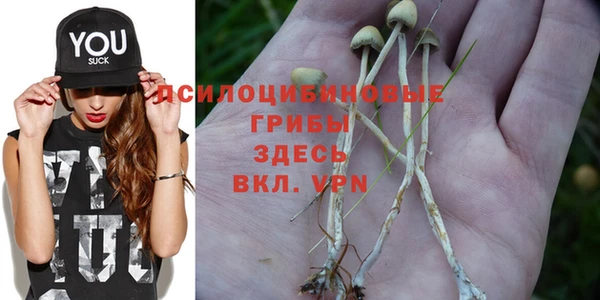 стаф Липки