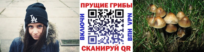 Галлюциногенные грибы MAGIC MUSHROOMS  Мелеуз 