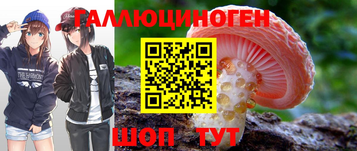 где купить   Галлюциногенные грибы Psilocybe  Вход с VPN  Мелеуз 