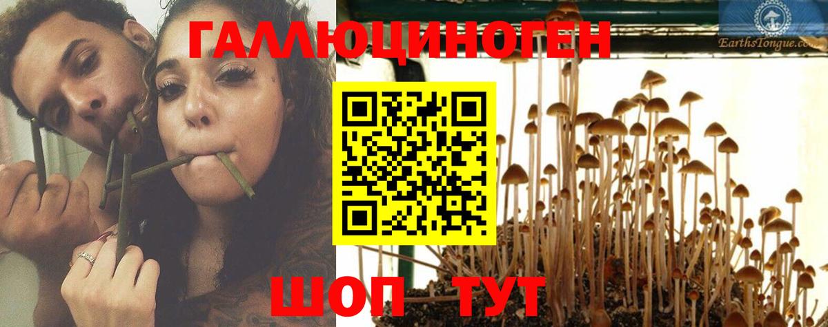 Псилоцибиновые грибы мухоморы  Мелеуз  Галлюциногенные грибы MAGIC MUSHROOMS 