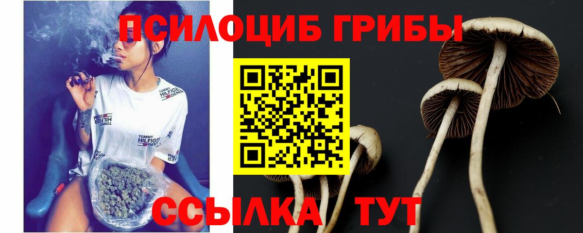 Галлюциногенные грибы мицелий Мелеуз